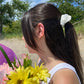 Silk Satin Scrunchie Hair Ties